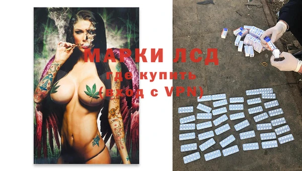 стафф Краснотурьинск