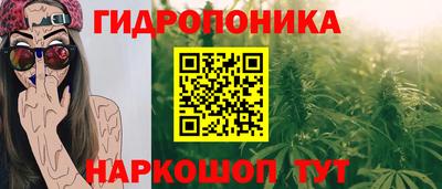 прущие крисы Нарткала