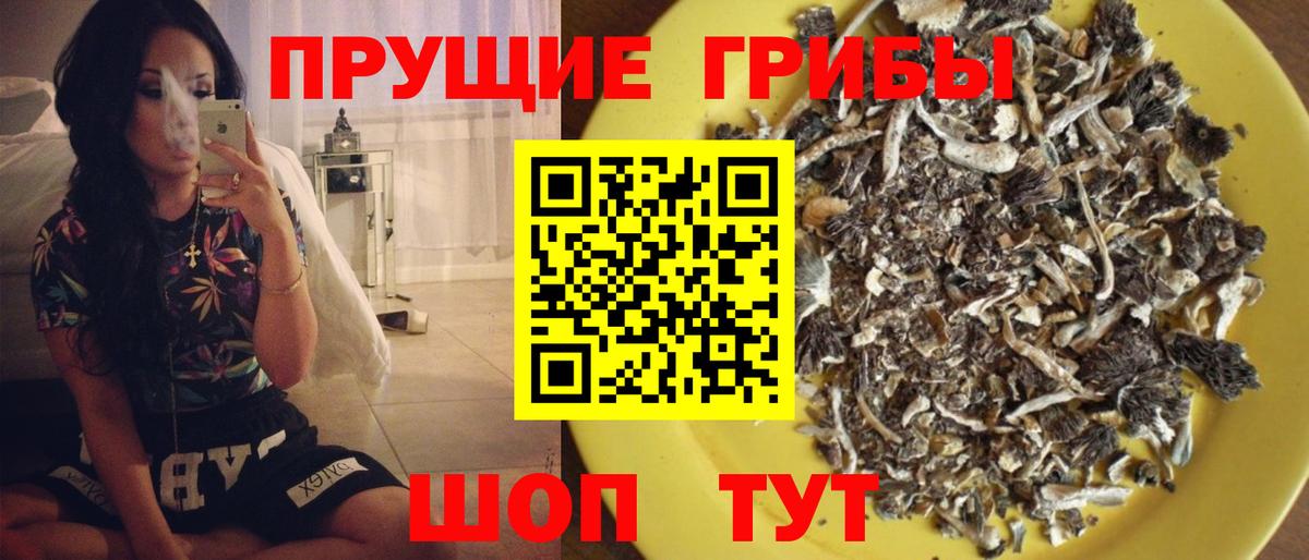 Узловая  Галлюциногенные грибы GOLDEN TEACHER  Вход с VPN 